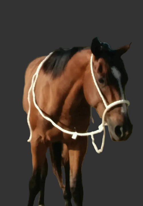 White mule tape loping hack